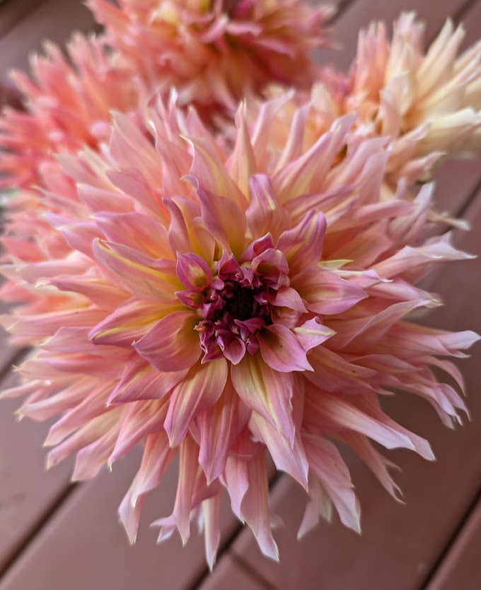 Hilltop Lost Treasure